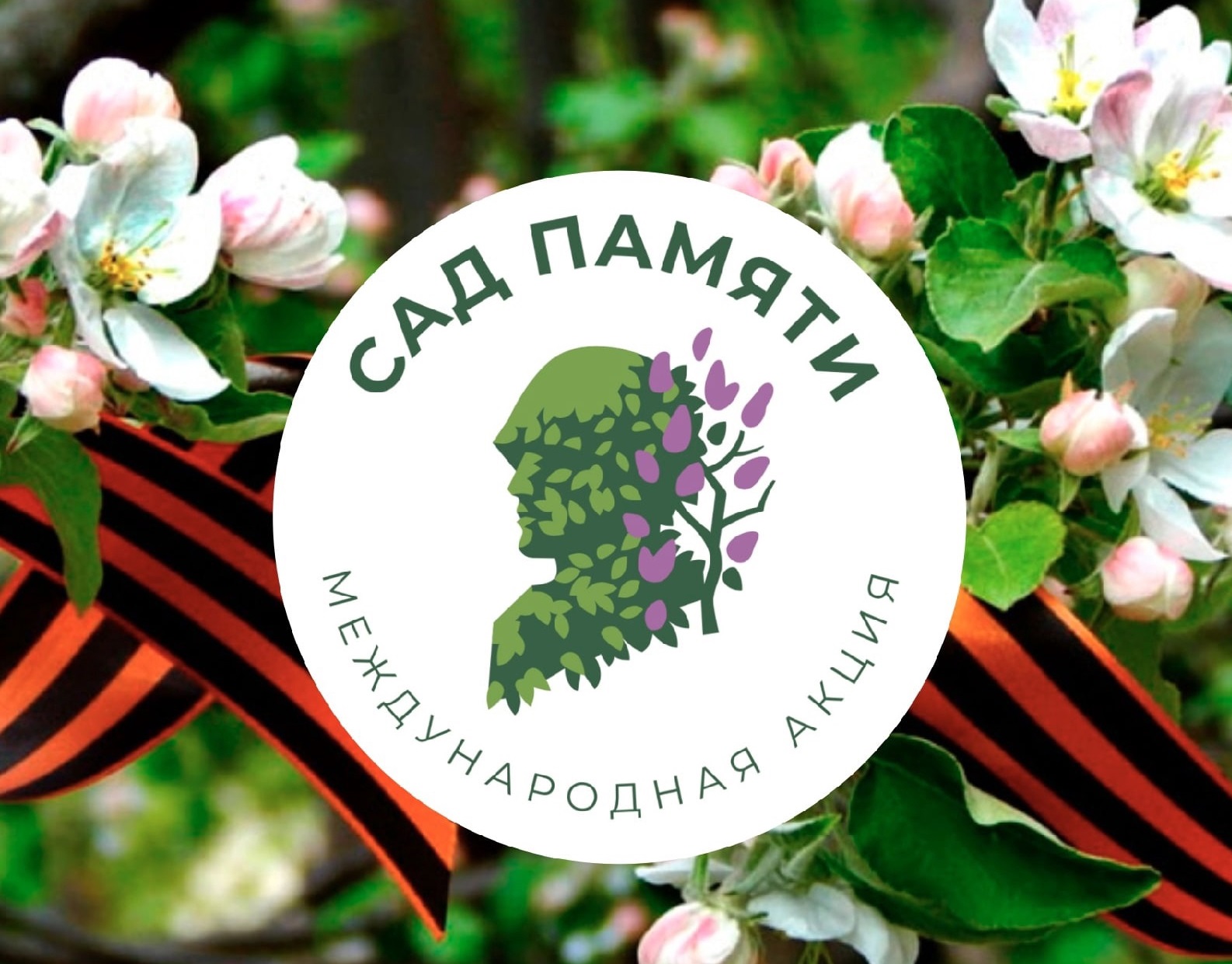 проект &amp;quot;Сад памяти&amp;quot;.