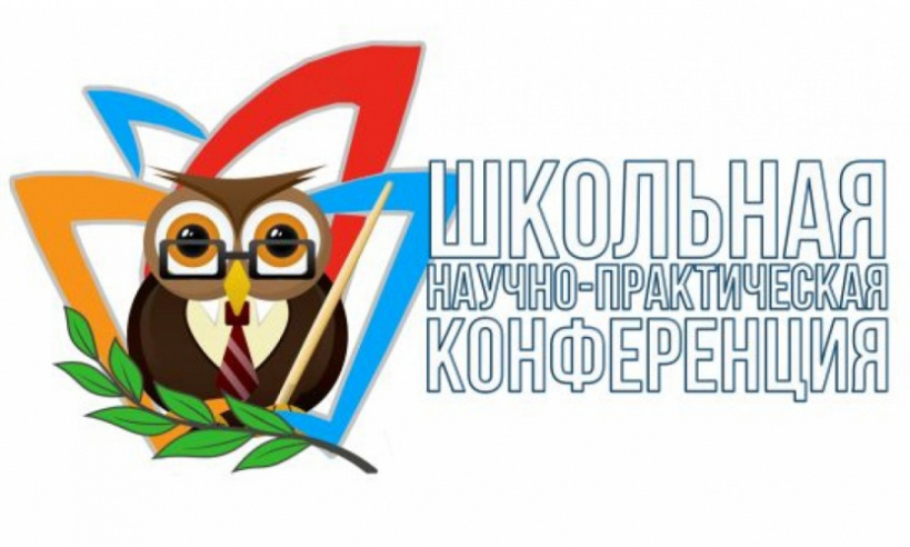 Конференция проектно-исследовательских работ.